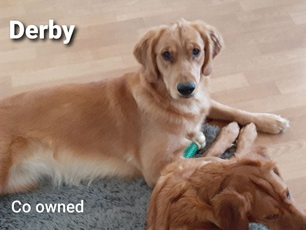 Derby