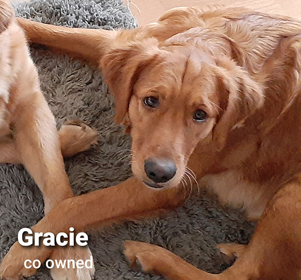 Gracie