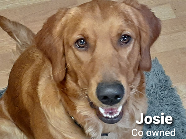 Josie