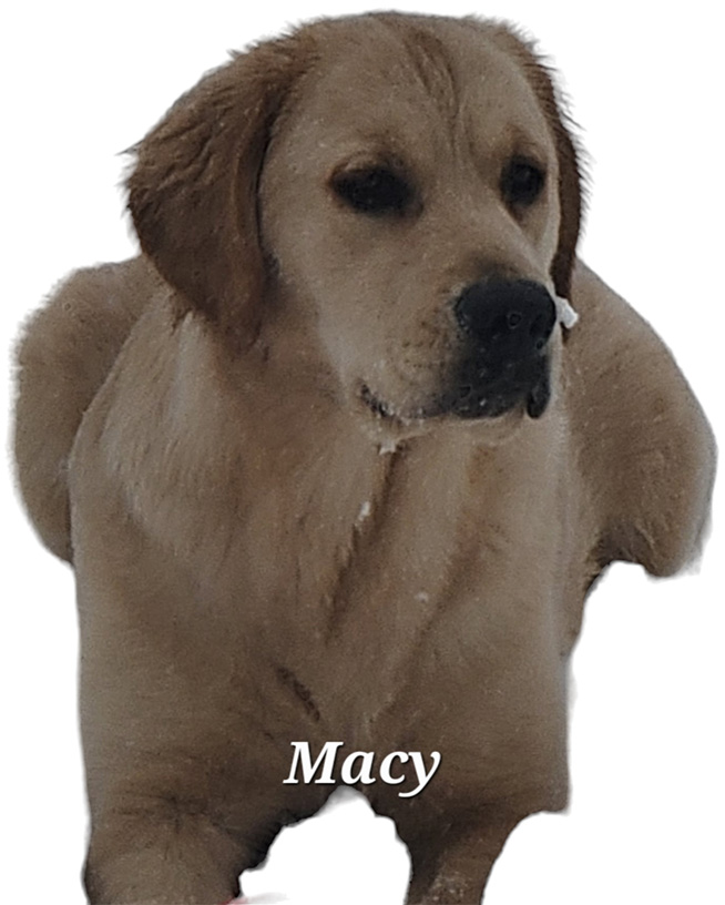 Macy