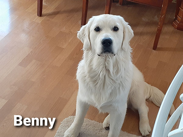 Benny