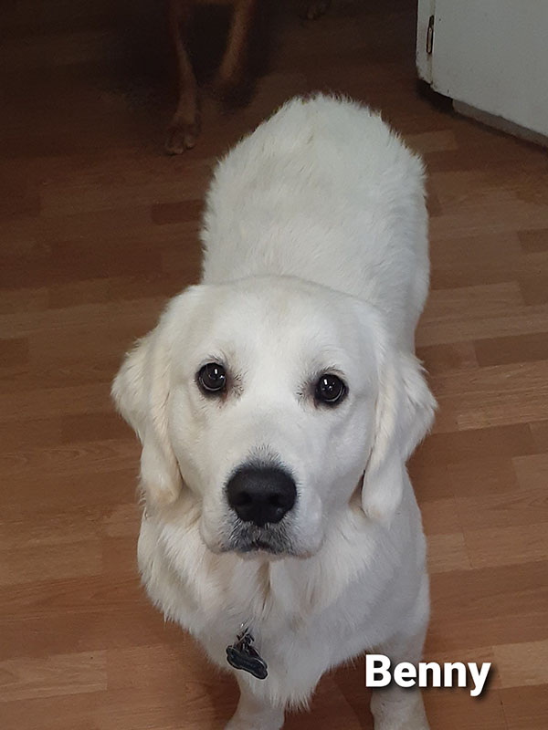 Benny