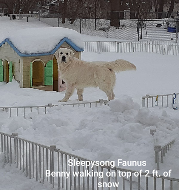 Benny