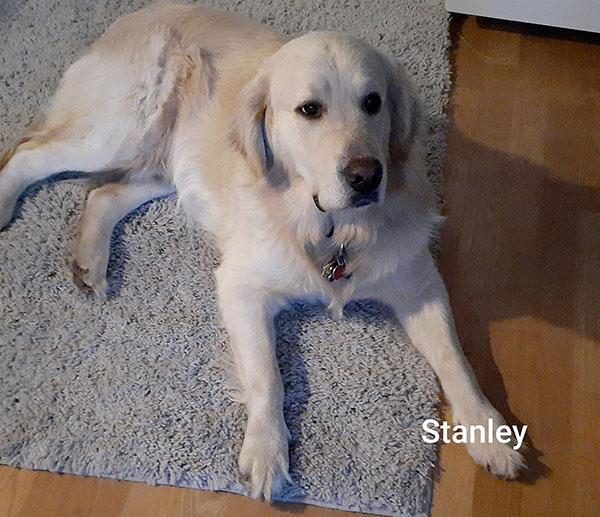 Stanley