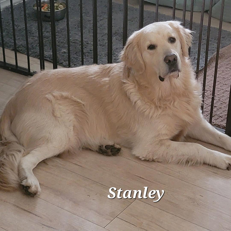 Stanley