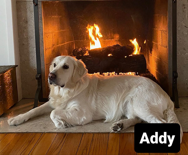 Addy