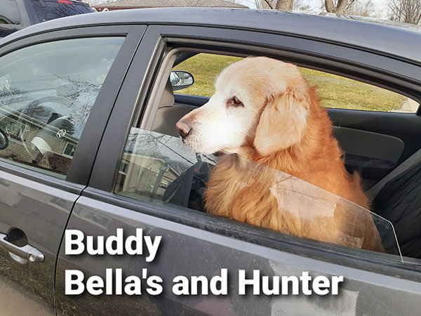 Buddy