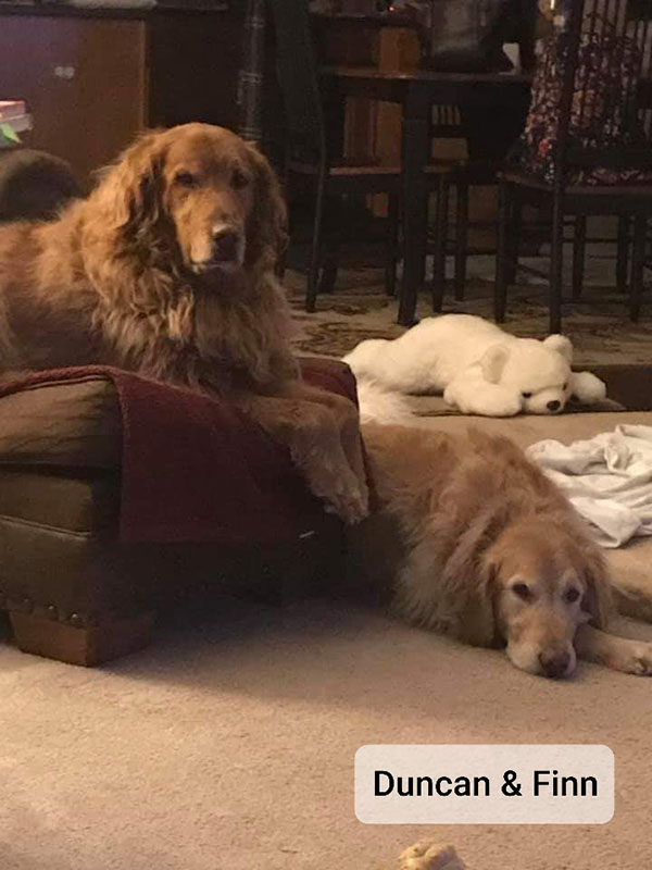 Duncan and Finn