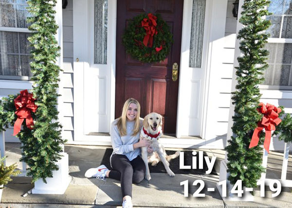 Lily