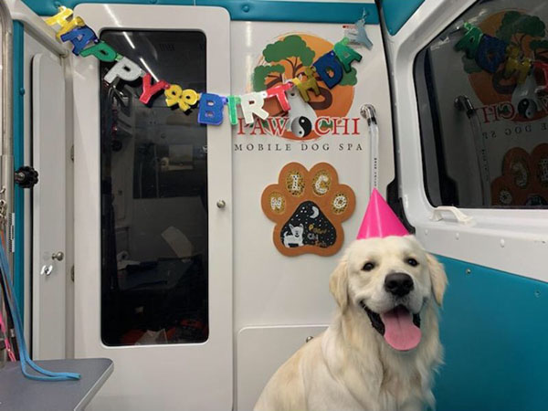 Mobile Dog Spa
