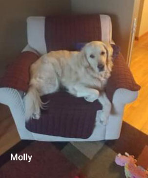 Molly