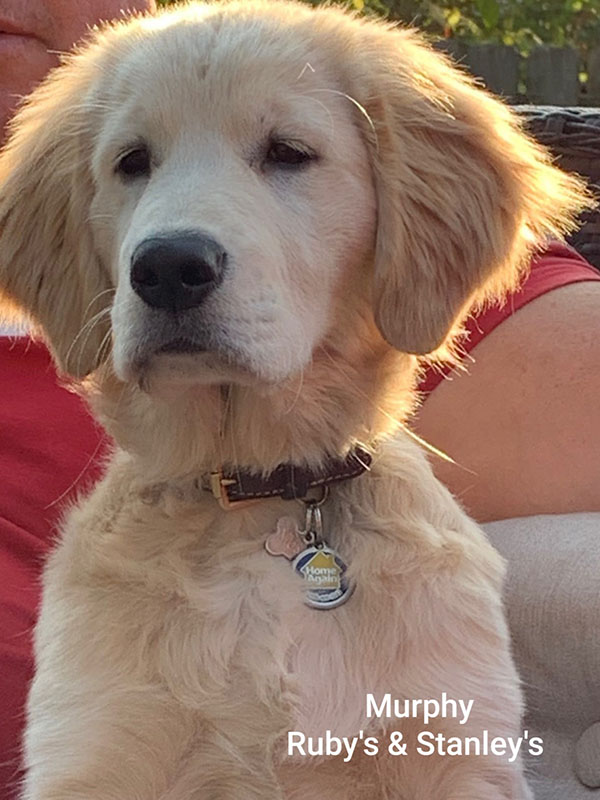 Murphy