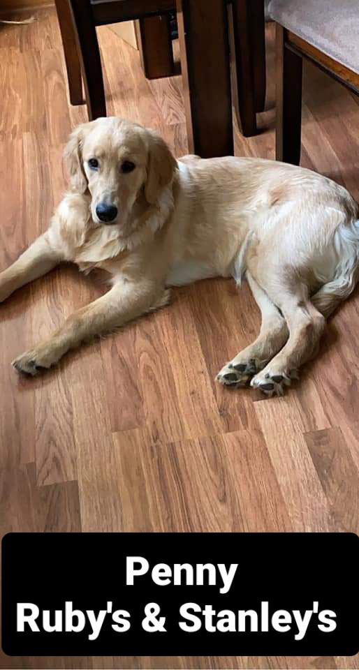 Penny