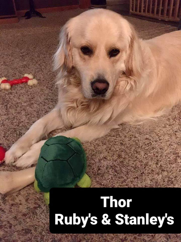 Thor