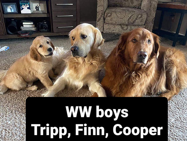 Trip, Finn, and Cooper