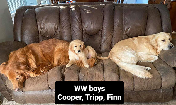 WW Boys