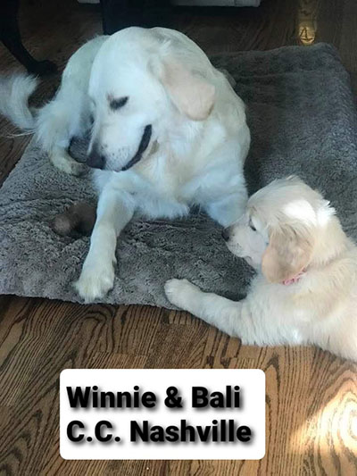 Winnie and Bali