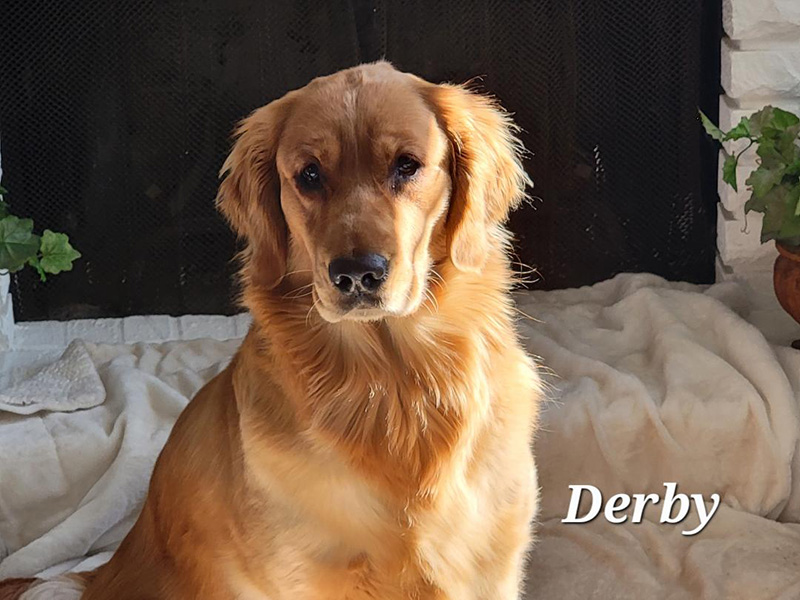Derby